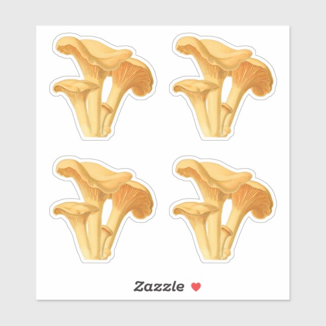Chanterelle Mushroom Vintag Botanische Illustratio Aufkleber (Blatt)
