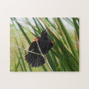 Chanteur d'oiseau noir à ailes rouges - Puzzle d'o