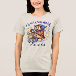 Chaos-Koordinator Eule – Sonderschullehrer Tri-Blend Shirt