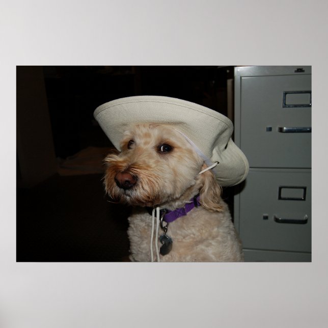 chaotisch6 poster (Vorne)