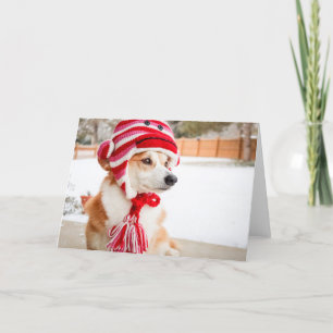 Chapeau de singe en chaussette Corgi carte de vœux