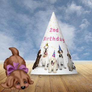 Chapeaux De Fêtes Anniversaire de chien Rose