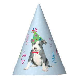 Chapeaux De Fêtes Anniversaire du Pit Bull Terrier