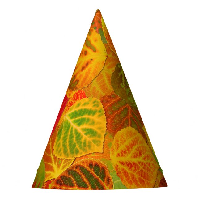 Chapeaux De Fêtes Aspen Feuilles Collage Solid Medley 1 (Devant)