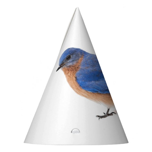 Chapeaux De Fêtes Bluebird (Gauche)