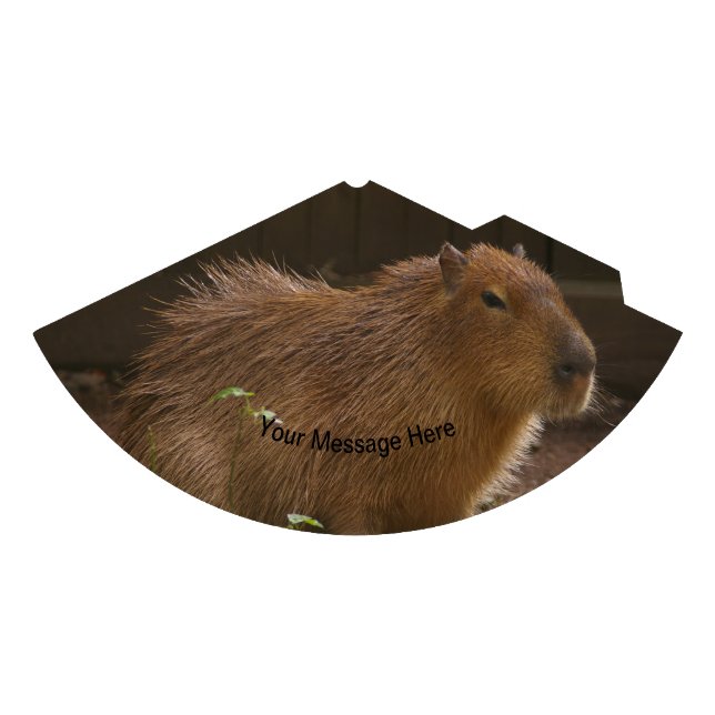 Chapeaux De Fêtes Capybara (Devant)