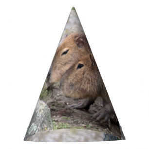 Chapeaux De Fêtes Capybarahs