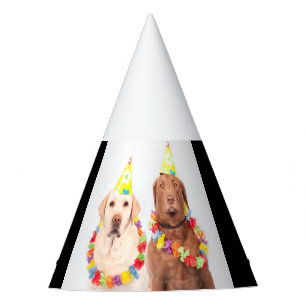 Chapeaux De Fêtes Casquette de fête, à vendre !