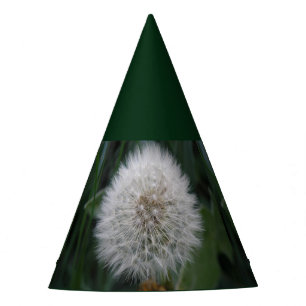 Chapeaux De Fêtes Casquette de la fête des fleurs de Dandelion
