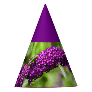 Chapeaux De Fêtes casquette du parti katydid