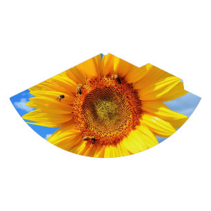 Chapeaux De Fêtes Casquette du Sunflower et Bees Party