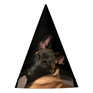 Chapeaux De Fêtes Chien Malinois belge