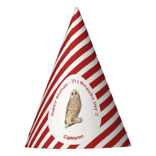 Chapeaux De Fêtes Chouette barrée - Anniversaire ou autre événement