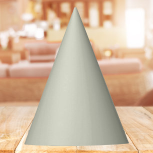 Chapeaux De Fêtes Couleur blanche