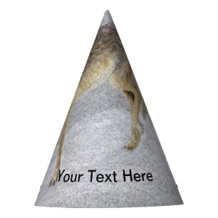 Chapeaux De Fêtes Coyote