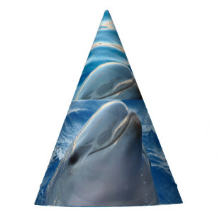 Chapeaux De Fêtes Dauphin