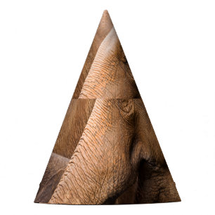Chapeaux De Fêtes Famille des éléphants : Faune majestueuse