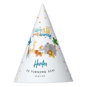 Chapeaux De Fêtes Fête d'anniversaire pour tous les fêtards