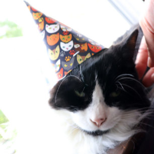 Chapeaux De Fêtes Fête du chat