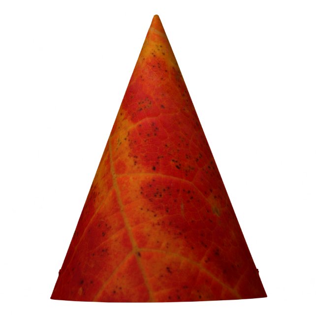 Chapeaux De Fêtes Feuille d'érable rouge Abstraite Automne Photograp (Devant)