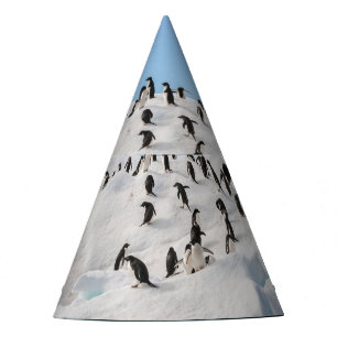 Chapeaux De Fêtes Gentoo Penguin Antarctica Iceberg Playtime