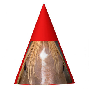 Chapeaux De Fêtes gros plan d'un cheval sur un casquette de fête
