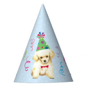 Chapeaux De Fêtes Jouet de la fête d'anniversaire