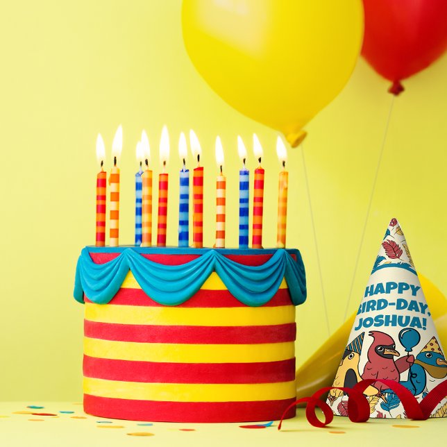 Chapeaux De Fêtes Joyeux Jour des Oiseaux Cartoon Oiseaux à thème An (Créateur téléchargé)