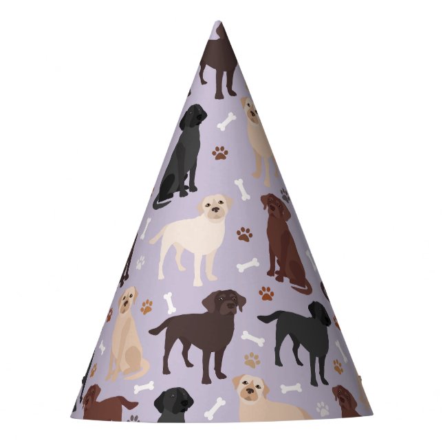 Chapeaux De Fêtes Labrador Retriever Paws et Bones Party Casquette (Devant)
