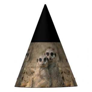 Chapeaux De Fêtes Meerkat_20170901_by_JAMFoto