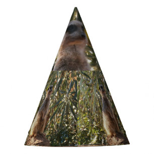 Chapeaux De Fêtes Meerkat En Garde, Casquette Du Parti