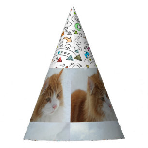 Chapeaux De Fêtes Norwegian_Forest_Cat