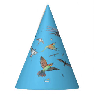 Chapeaux De Fêtes Oiseaux migrateurs traçant leurs vols Illustration