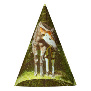 Chapeaux De Fêtes okapi