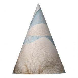 Chapeaux De Fêtes Ours polaire : Zoo Habitat Aperçu