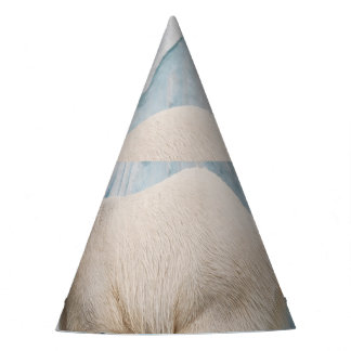 Chapeaux De Fêtes Ours polaire : Zoo Habitat Aperçu