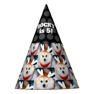 Chapeaux De Fêtes Photo faite sur commande d'animal familier de fêt