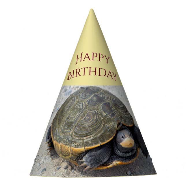 Chapeaux De Fêtes Photo Turtle (Devant)