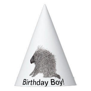 Chapeaux De Fêtes Porcupine