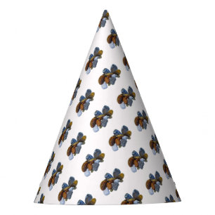 Chapeaux De Fêtes Roches polies