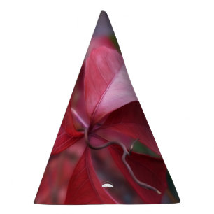 Chapeaux De Fêtes Rouge d'automne
