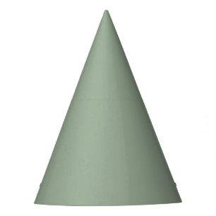 Chapeaux De Fêtes Sage doux couleur tendance