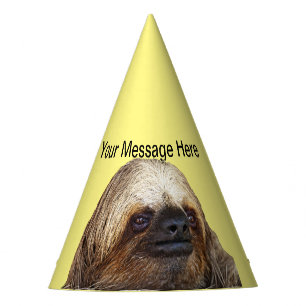 Chapeaux De Fêtes Sloth