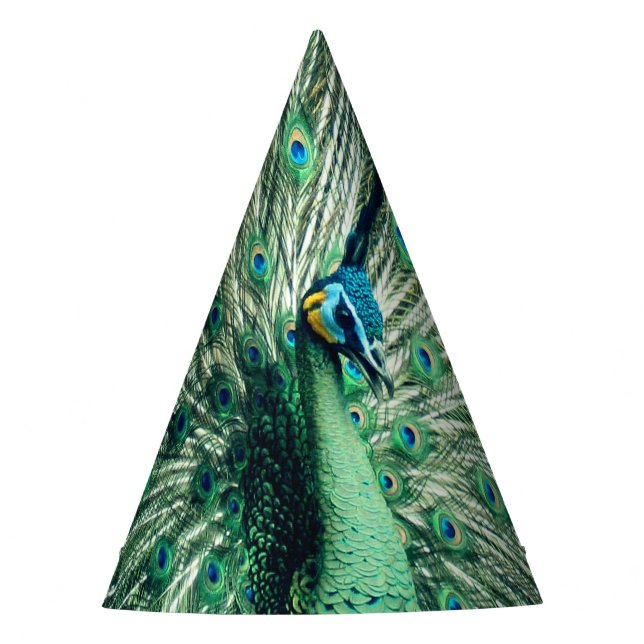 Chapeaux De Fêtes Strut Peacock (Devant)