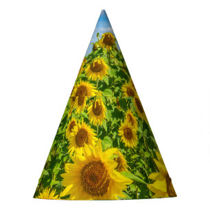 Chapeaux De Fêtes Terrain de tournesol, ensoleillé l'été.