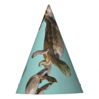 Chapeaux De Fêtes Tortues