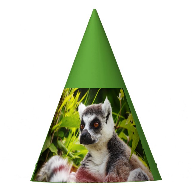 Chapeaux De Fêtes un lémur du Madagascar sur le casquette de partie (Devant)