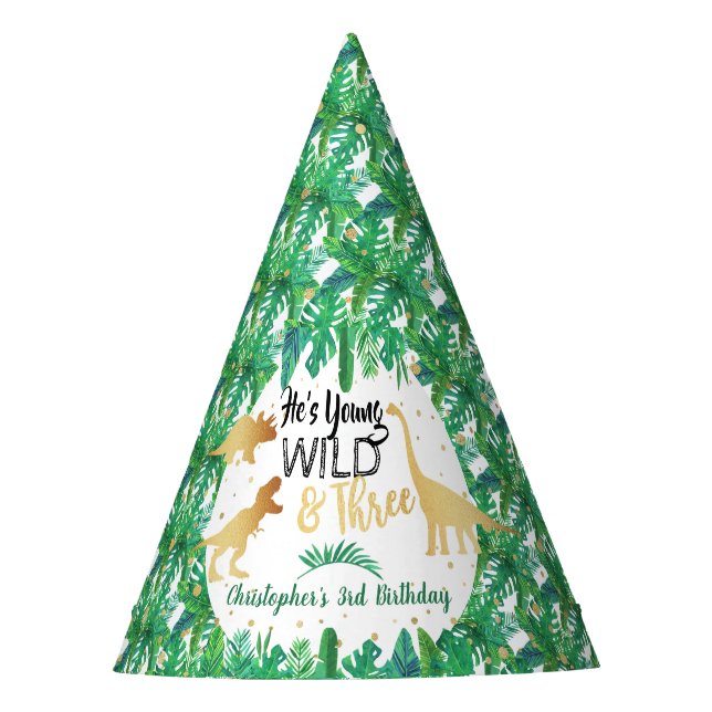 Chapeaux De Fêtes Young Wild & Three Dinosaur Boys Troisième anniver (Devant)