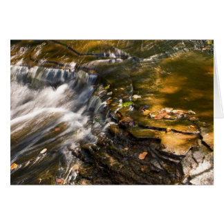 Chapel River Detail