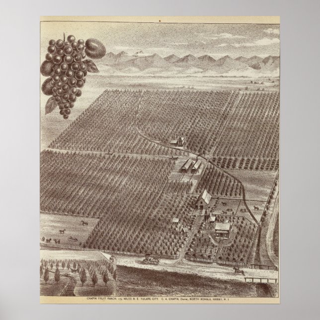 Chapin Fruit Ranch Poster (Vorne)
